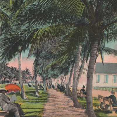 Biscayne Bay and Cocoanut Grove, Miami