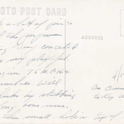 Theater of the Sea Dolphin Feeding: © Key West Art & Historical Society