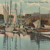 The Fishing Fleet, Miami