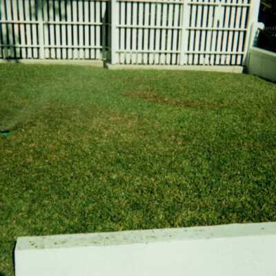 Key West Lighthouse grounds: Copyright: © Key West Art & Historical Society; Origformat: Print-Photographic