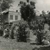 A yard