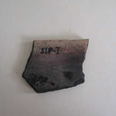 Sherd