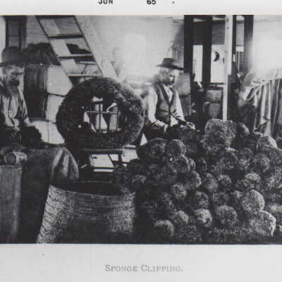 Men Clipping Sponges