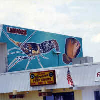 Island Erotica Peep Shows Sign