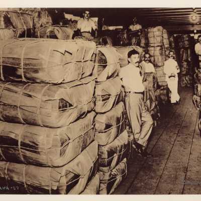 Men in a Tobacco factory in Cuba