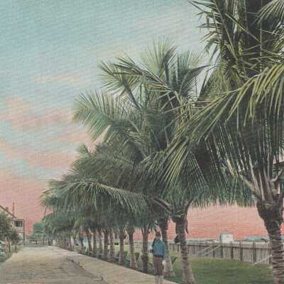 Barracks – Cocoanut Palm Walk, Key West