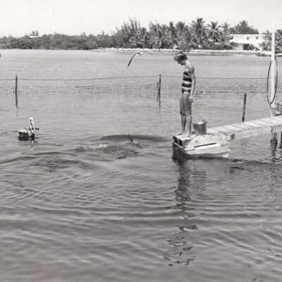 Woman with pelicans: Copyright: © Key West Art & Historical Society; Origformat: Print-Photographic