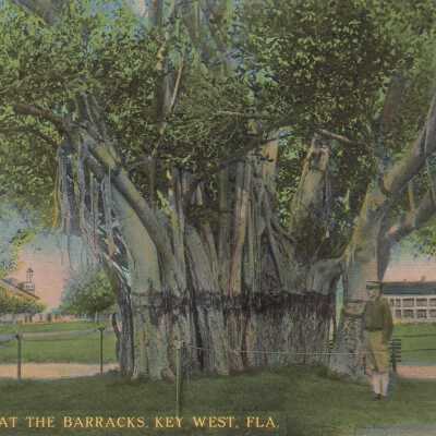 Banyan Tree at the Barracks, Key West