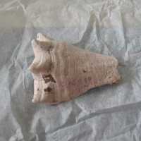Shell Tool