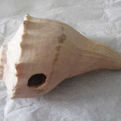 Shell Tool