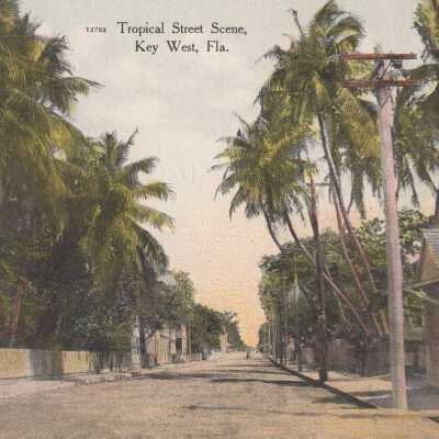 Tropical Street Scene, Key West