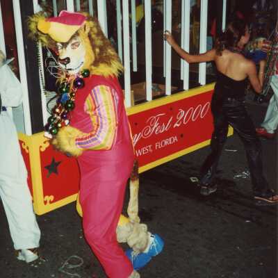 Unknown person dressed up in the parade.
