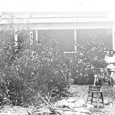 South Florida Hurricane Damage