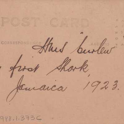 HMS CURLEW, Jamaica: © Key West Art & Historical Society