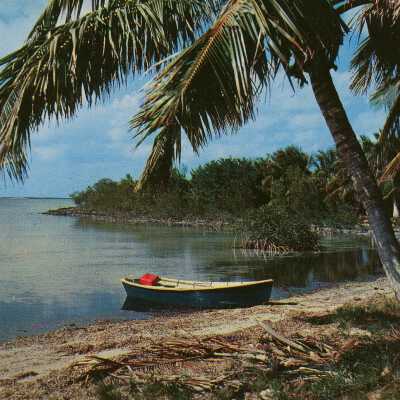 Florida Keys Scene