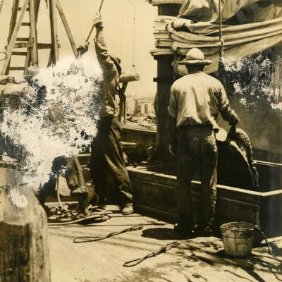 Unloading Turtles in Key West