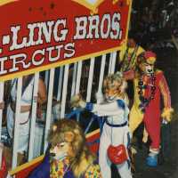 A float in the parade.