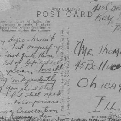 Tropical Frangipani: © Key West Art & Historical Society