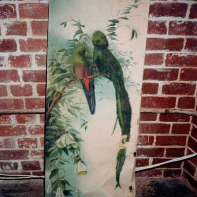 Painting of birds: Copyright: © Key West Art & Historical Society; Origformat: Print-Photographic