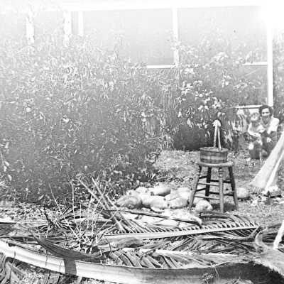 South Florida Hurricane Damage