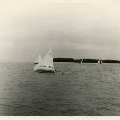 Sailboats in the ocean