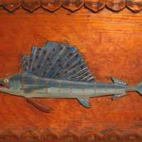 A Key West Sail Fish