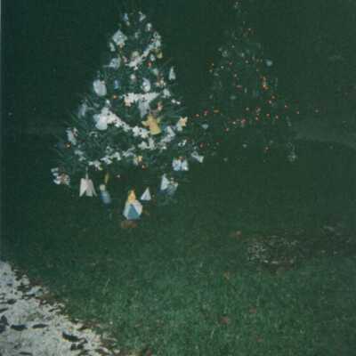 East Martello: Copyright: © Key West Art & Historical Society; Origformat: Print-Photographic