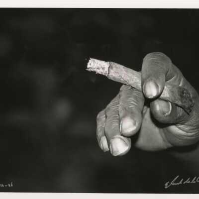 A man's hand holding a cigar