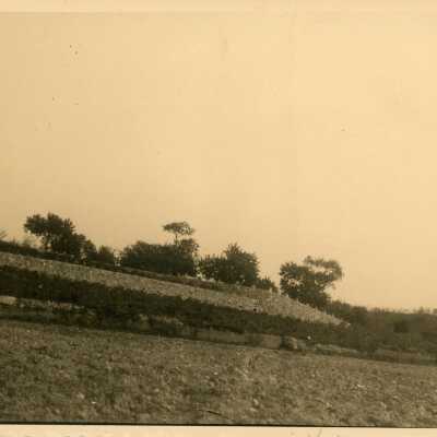 A yard with an object