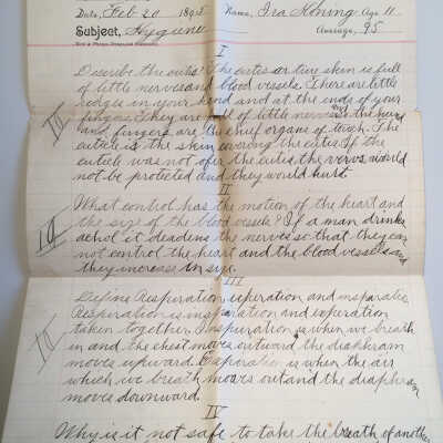 Ira Koning's Hygiene school work