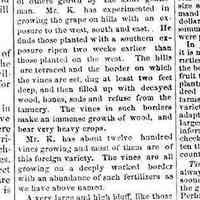          cr1871080503SaugatuckStory.jpg; 1871 fruit culture promising, Rev. Mr. Hamilton starting orchard nursery, clear cut land reported to grass over readily, Burgundy grape culture by Mr. Kleeman, E.W. Perry editor of Lake Shore Commercial, saw and shingle mills and extensive barrel factory. propeller Chaffee trips to Chicaog
   