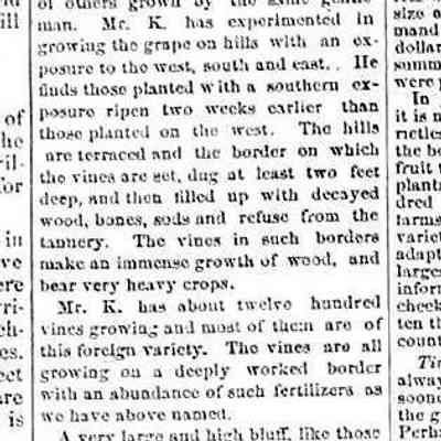 cr1871080503SaugatuckStory.jpg: 1871 fruit culture promising, Rev. Mr. Hamilton starting orchard nursery, clear cut land reported to grass over readily, Burgundy grape culture by Mr. Kleeman, E.W. Perry editor of Lake Shore Commercial, saw and shingle mills and extensive barrel factory. propeller Chaffee trips to Chicaog