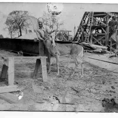 89-1-60_c_Deer_at_Bridge.jpg 317KB
