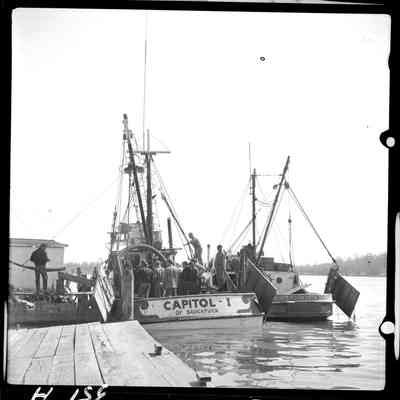 capitol - 1 alewives.jpg 424KB: Capitol I