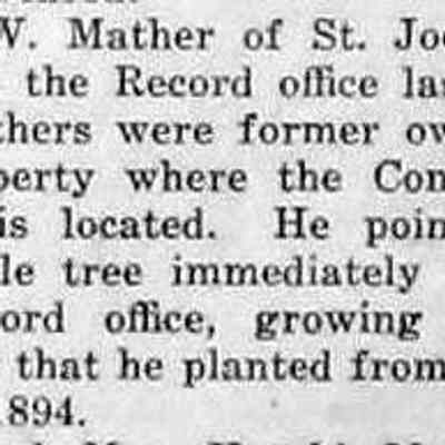 cr1947042501DanMatherPlantsMaple1894.jpg 17KB