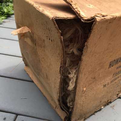 Mold and water damage