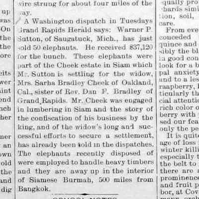 cr1899051901WarnerPSutton-sells50elephants.jpg 57KB