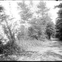         Deam24.jpg 1.3MB; An unpaved road, possibly the old Dug Road or Dugout Road.
   