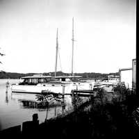          Pier Marine/Saugatuck Marine picture number 2
   