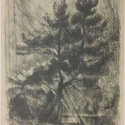 The Leaning Tree