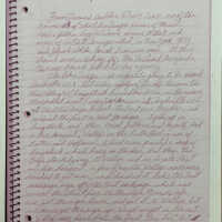          Davis' handwritten memoir
   