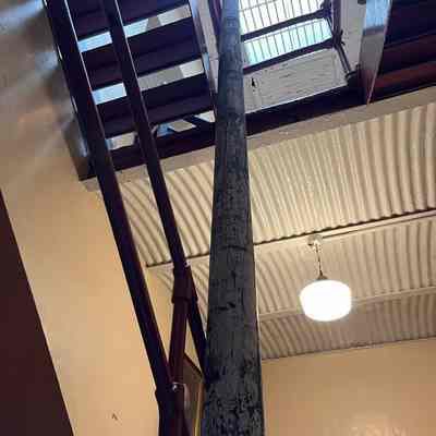 Chicora Mast, August 2024: As of 2024, the mast is located at the Allegan County Historical Society Old Jail Museum, 113 Walnut Street, Allegan MI 49010