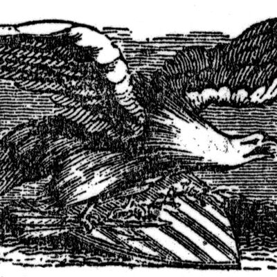 eagle.jpg 1MB
