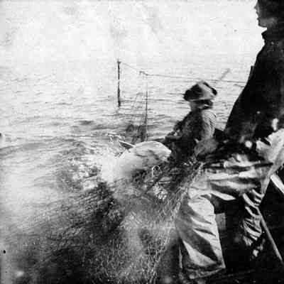 fishing.jpg 395KB: pound or pond netting