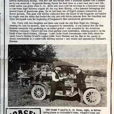 page 31: History of the Force Family