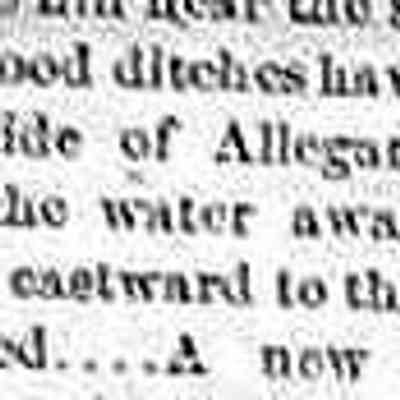cr1871082603DitchesOnAlleganSt.jpg: Ditches along Allegan St. to carry water away from school house