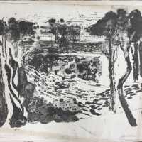 Trees and Field