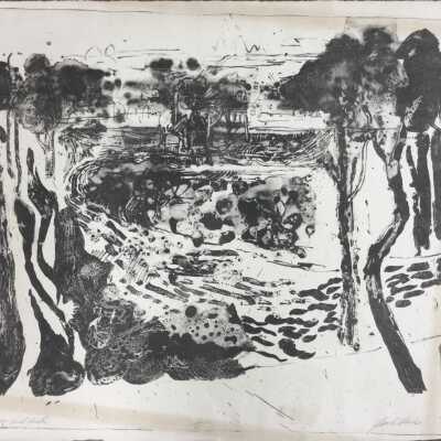 Trees and Field