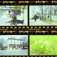 Douglas 1991 35mm Negatives