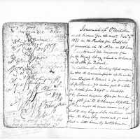          scan of original diary of Oshea Wilder; part 1 of 22
   
